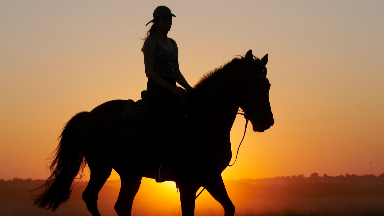 Passeio a Cavalo 2h
